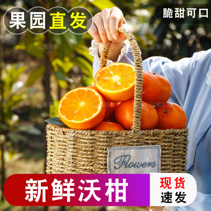 手里拿着沃柑