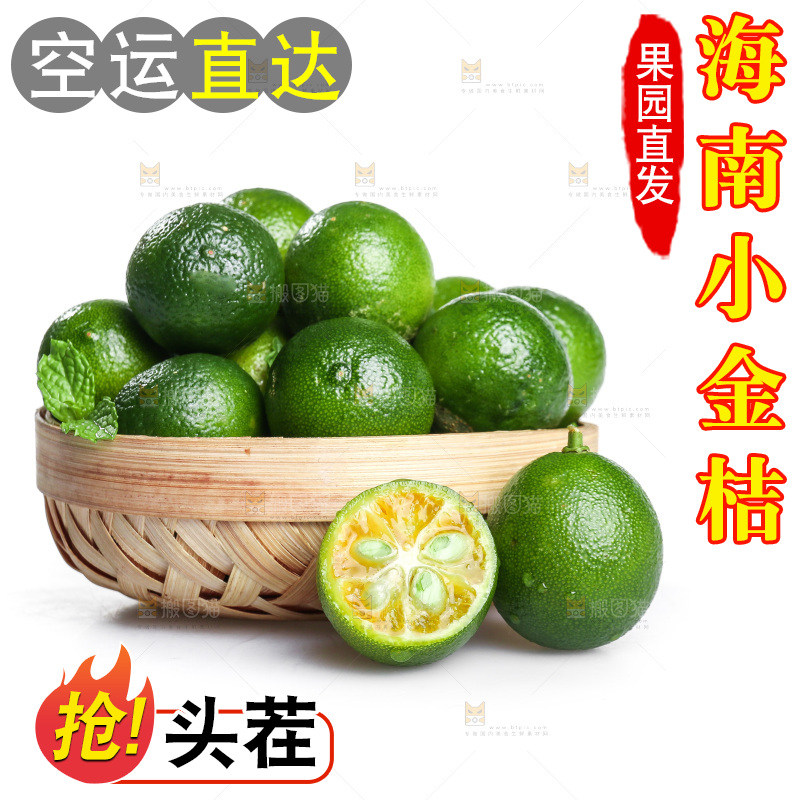 白底上的小金桔