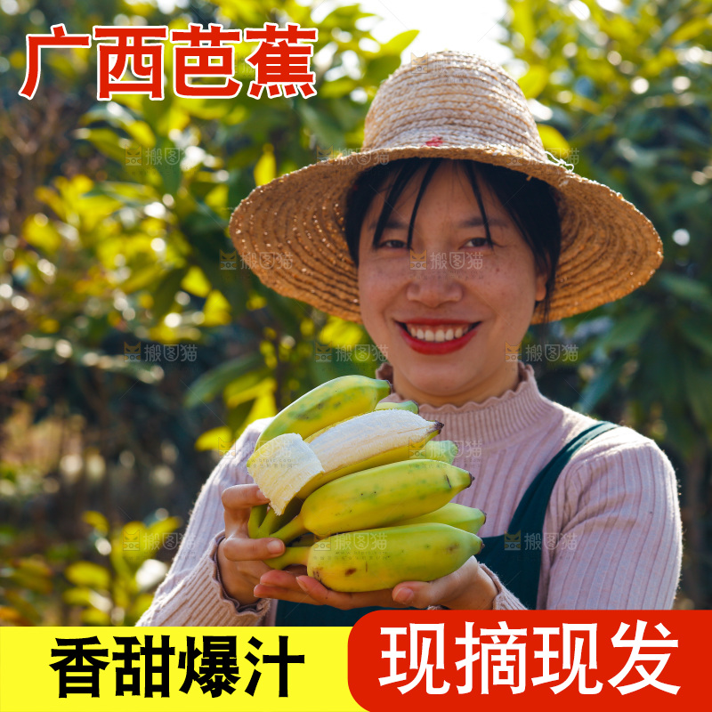 手里拿着广西芭蕉