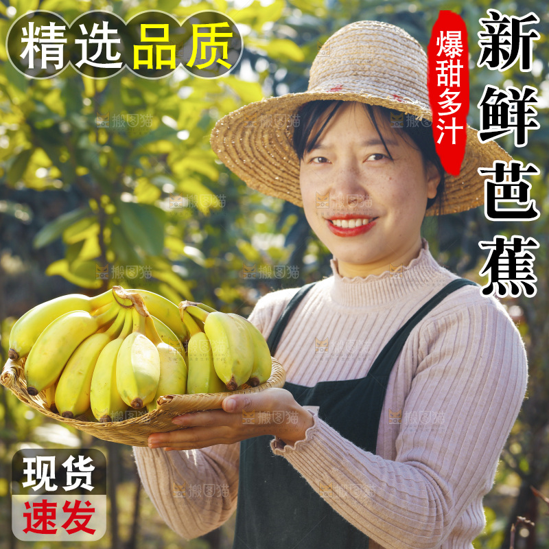 手里拿着广西芭蕉