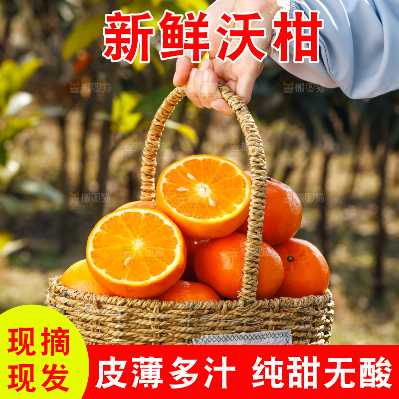手里拿着沃柑