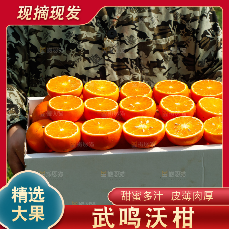 堆放着的新鲜沃柑