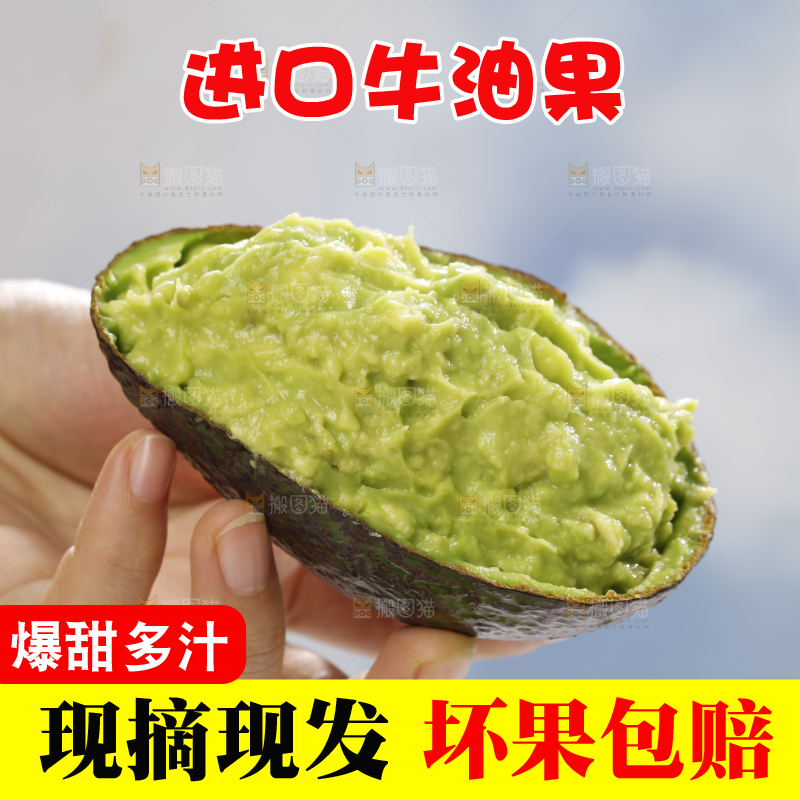 浅底上的巨无霸牛油果