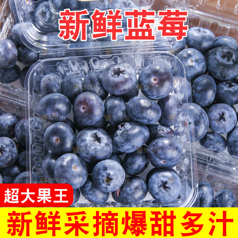黑底上摆着的新鲜蓝莓