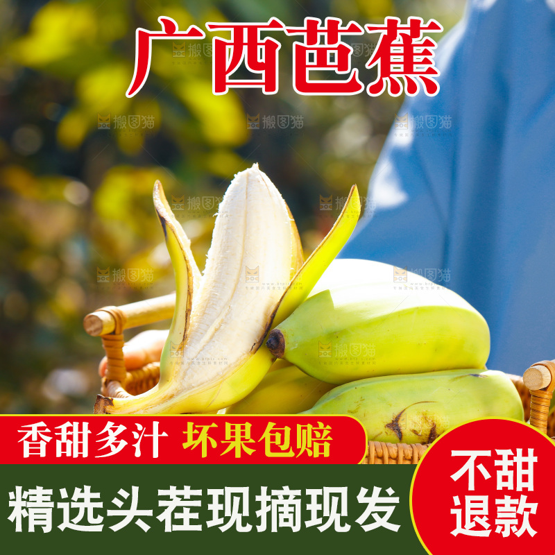 手里拿着广西芭蕉