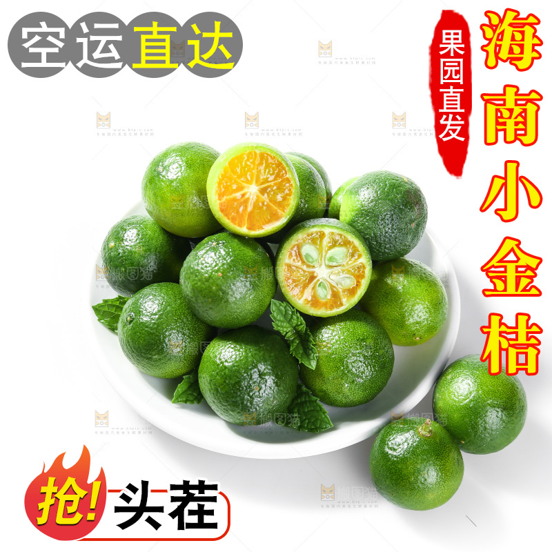 白底上的小金桔