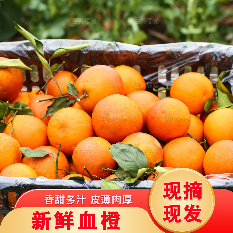 堆放着的血橙