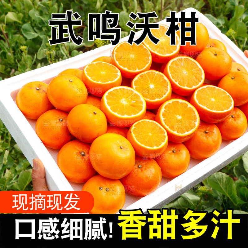 堆放着的新鲜沃柑
