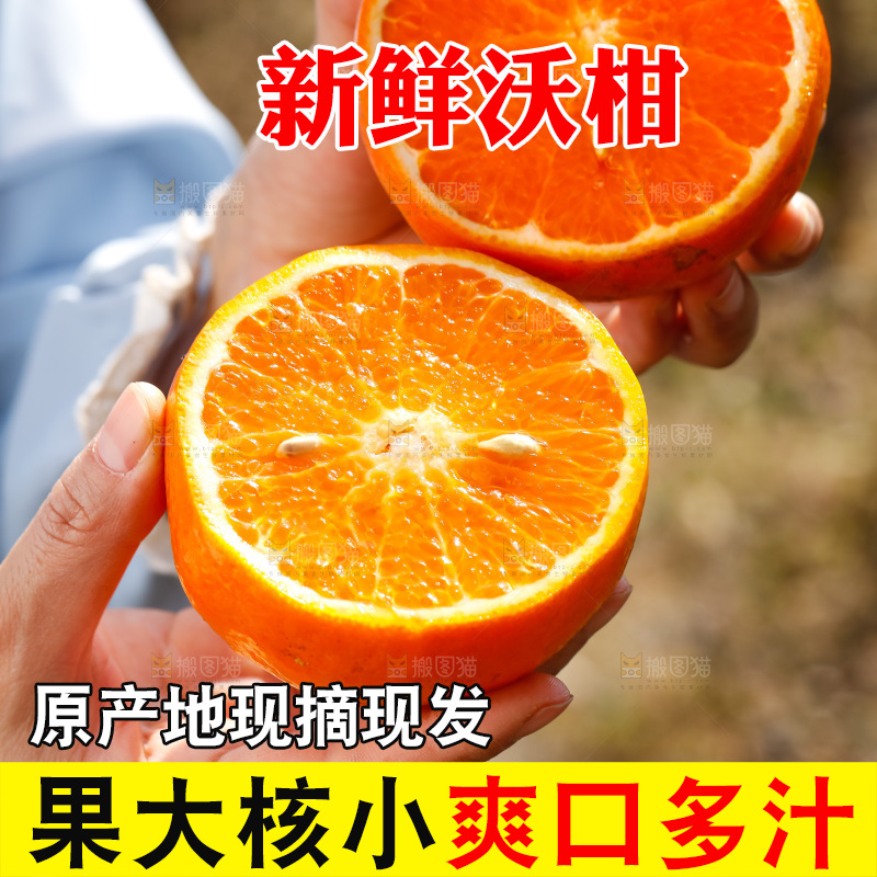 手里拿着沃柑