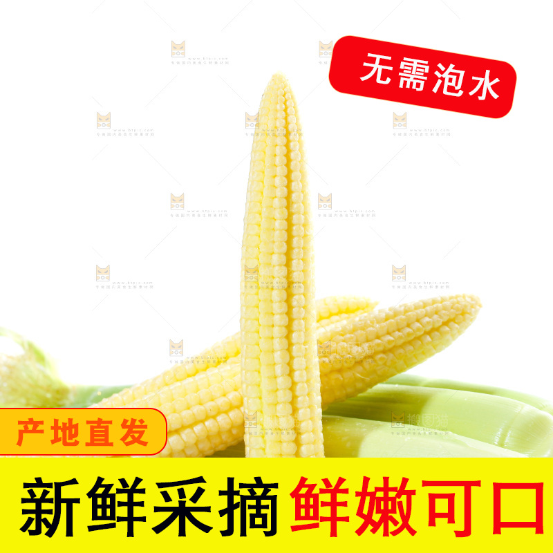白底上的珍珠笋