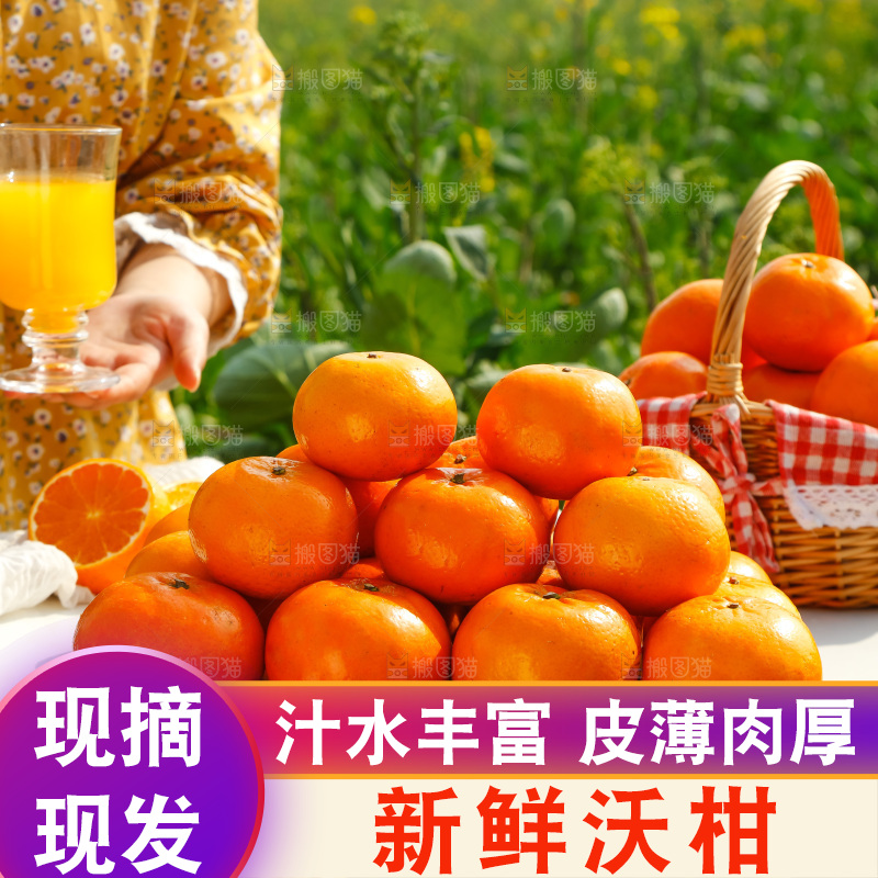 手里拿着沃柑