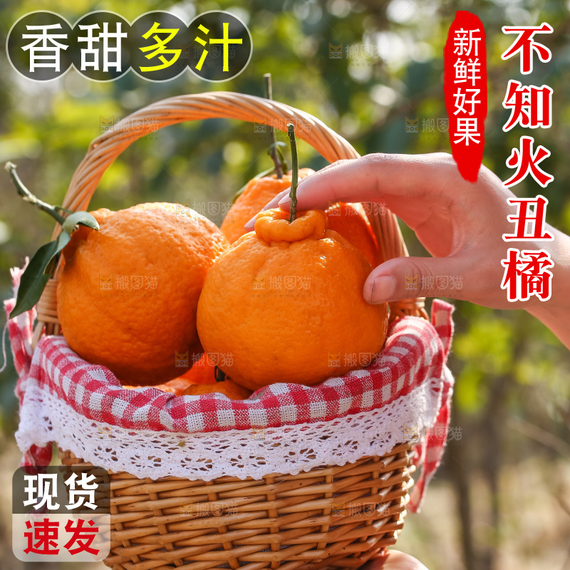 手里拿着丑八怪