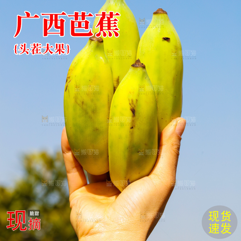 手里拿着广西芭蕉