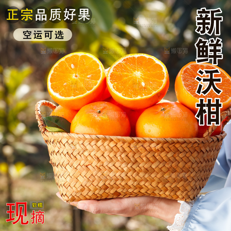 手里拿着沃柑