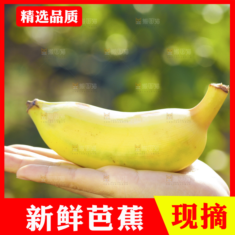 手里拿着广西芭蕉