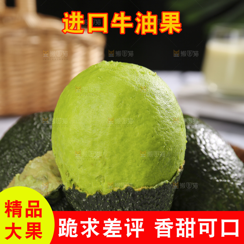 浅底上的巨无霸牛油果