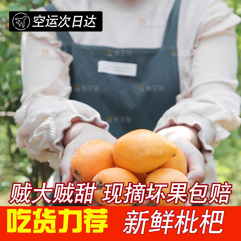 手里捧着大枇杷
