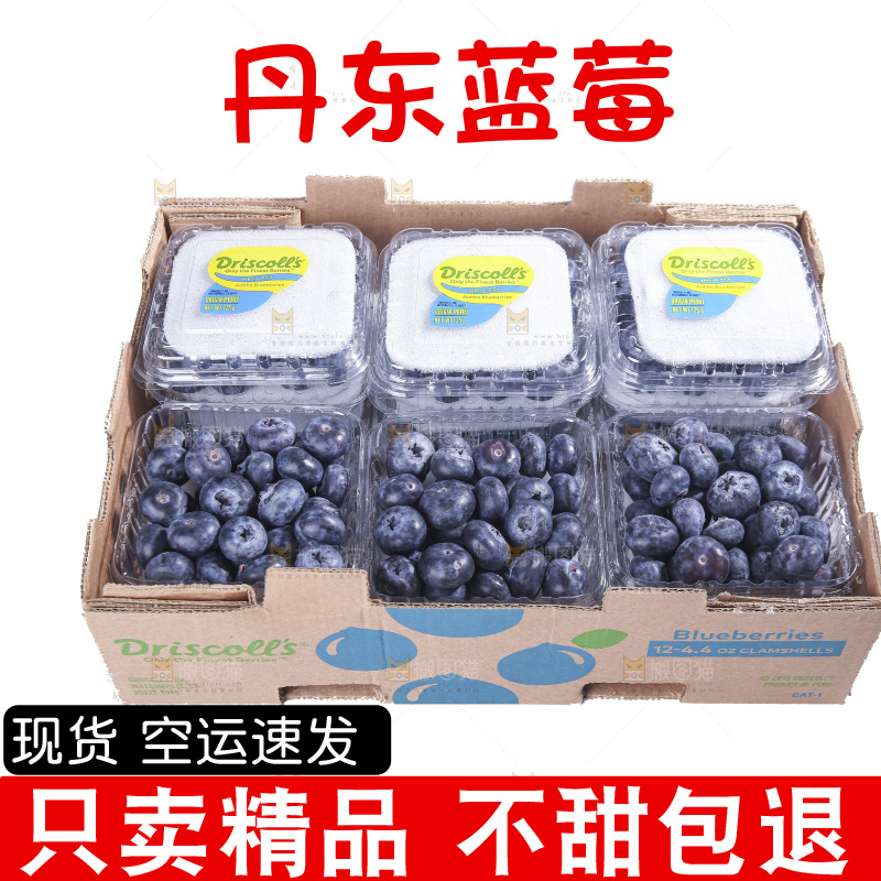 白底上放着的新鲜蓝莓