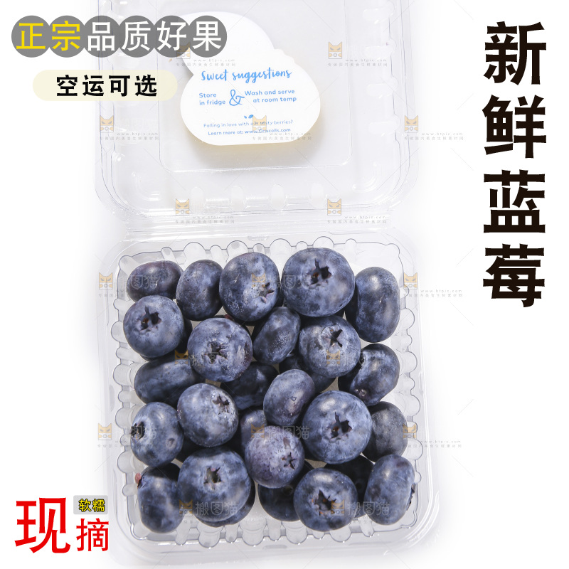 白底上放着的新鲜蓝莓