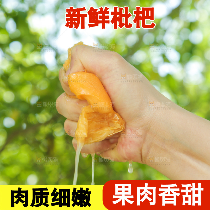 手里爆汁的枇杷