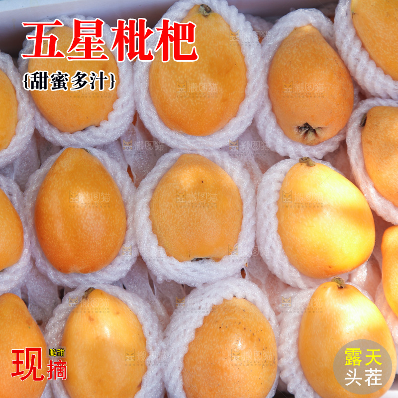 五星枇杷纹理