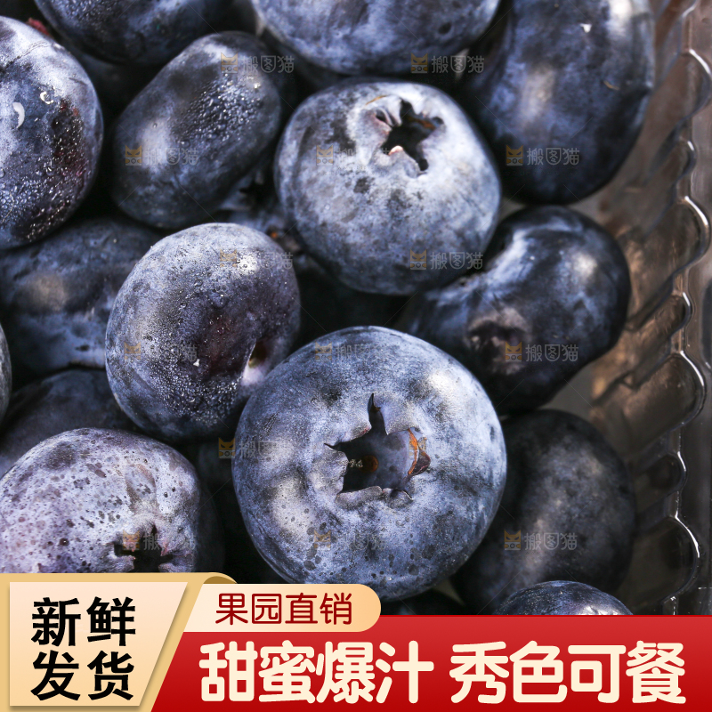 黑底上摆着的新鲜蓝莓