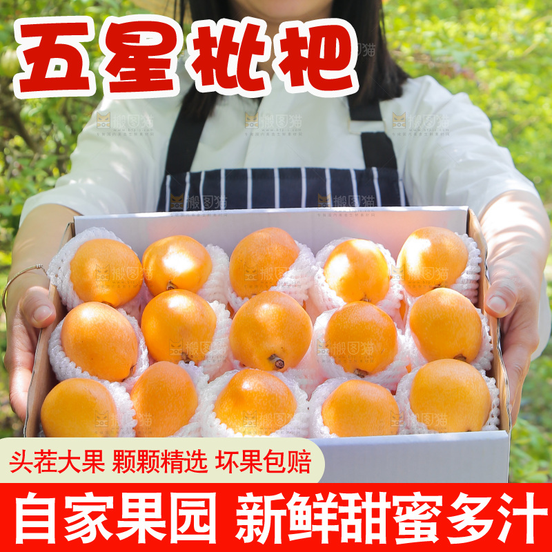 女孩手里端着一箱米易枇杷