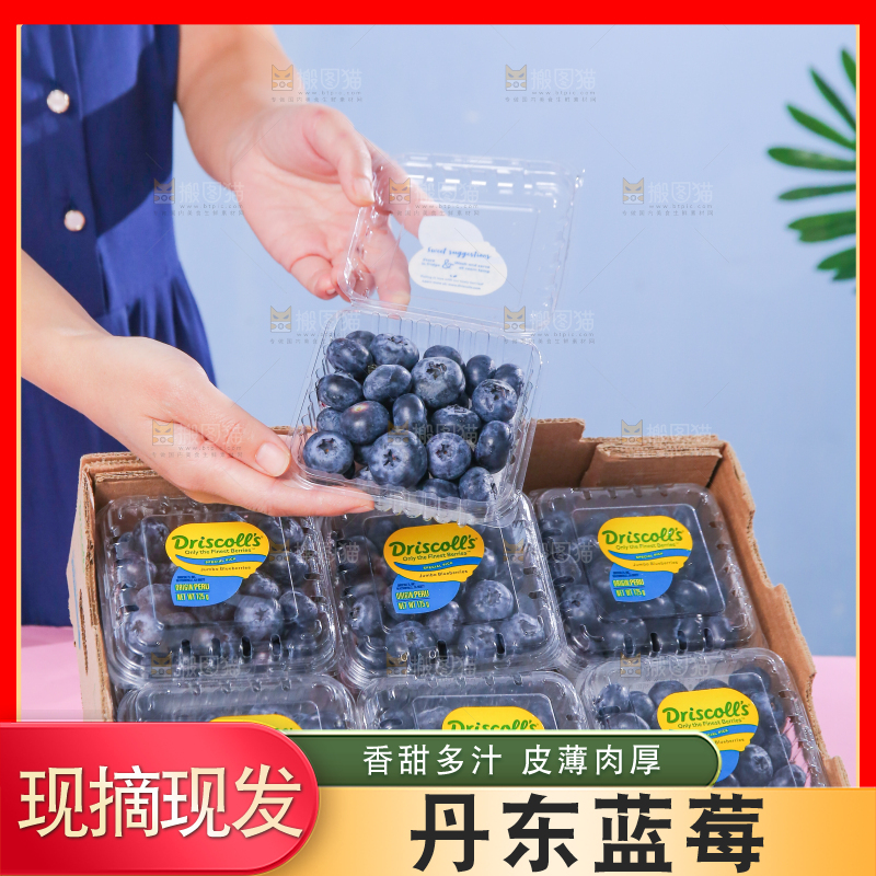 浅底上的新鲜蓝莓