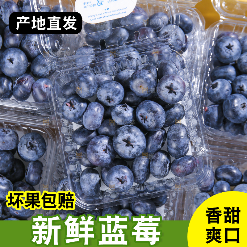 浅底上的新鲜蓝莓