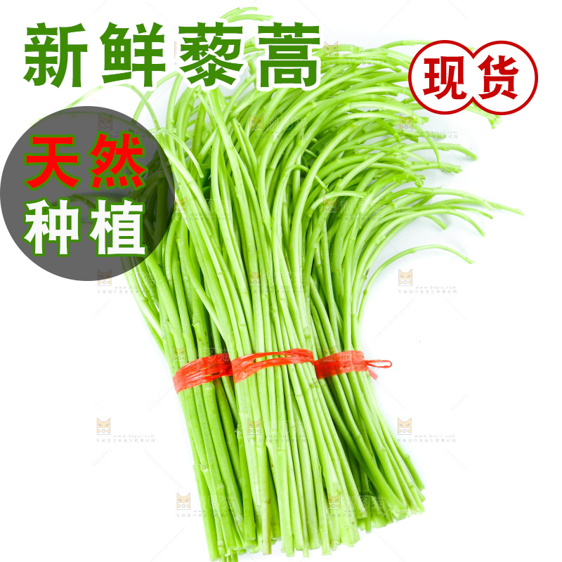 白底上放着藜蒿