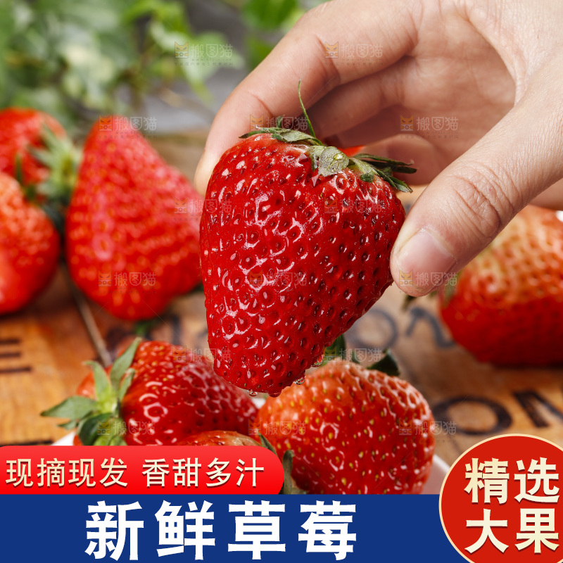 深底上的丹东草莓