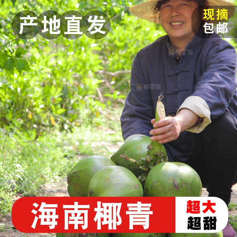 女人手里拿着椰青