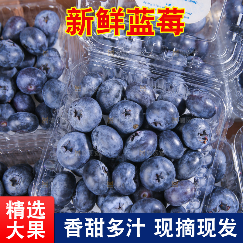 浅底上的新鲜蓝莓