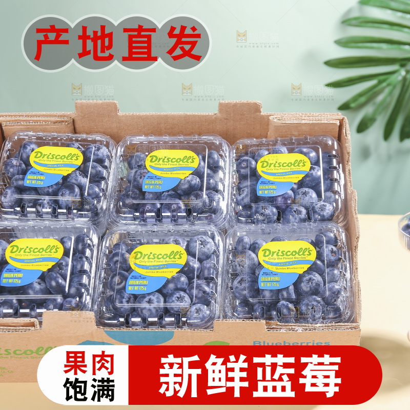 浅底上的新鲜蓝莓