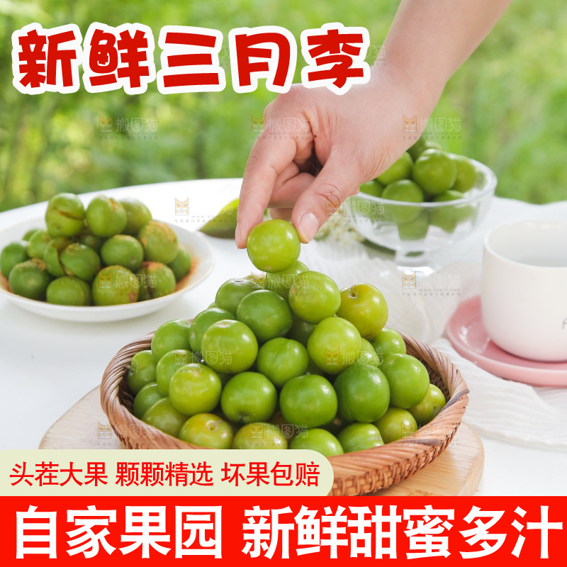 手里拿着酸脆李