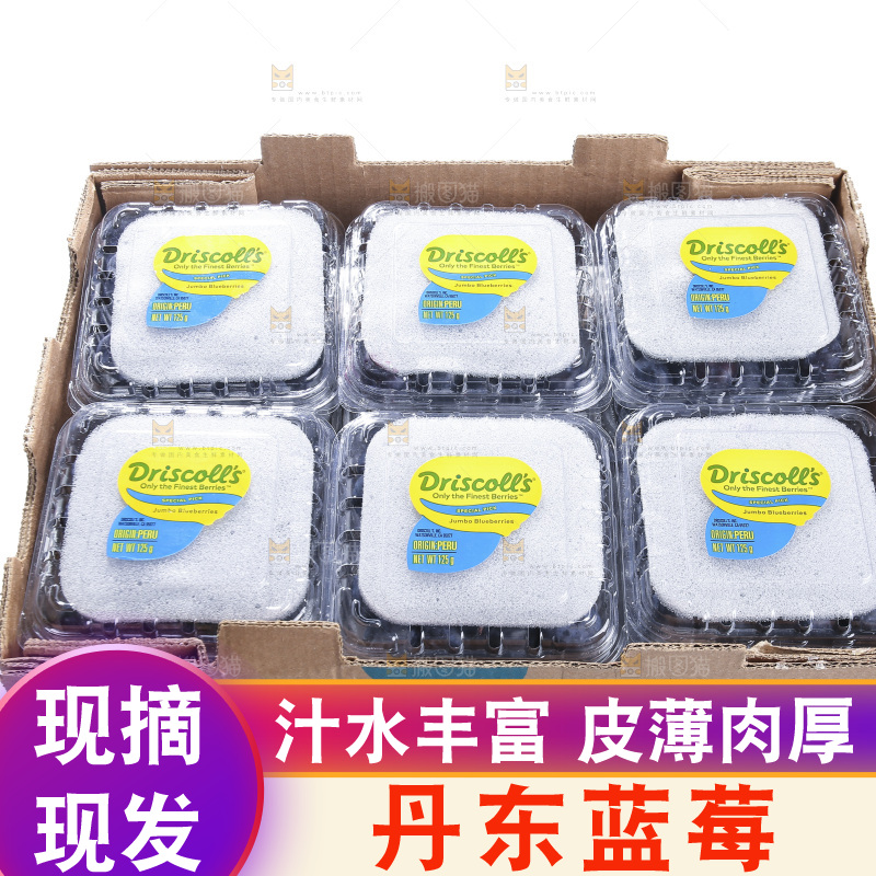 白底上放着的新鲜蓝莓
