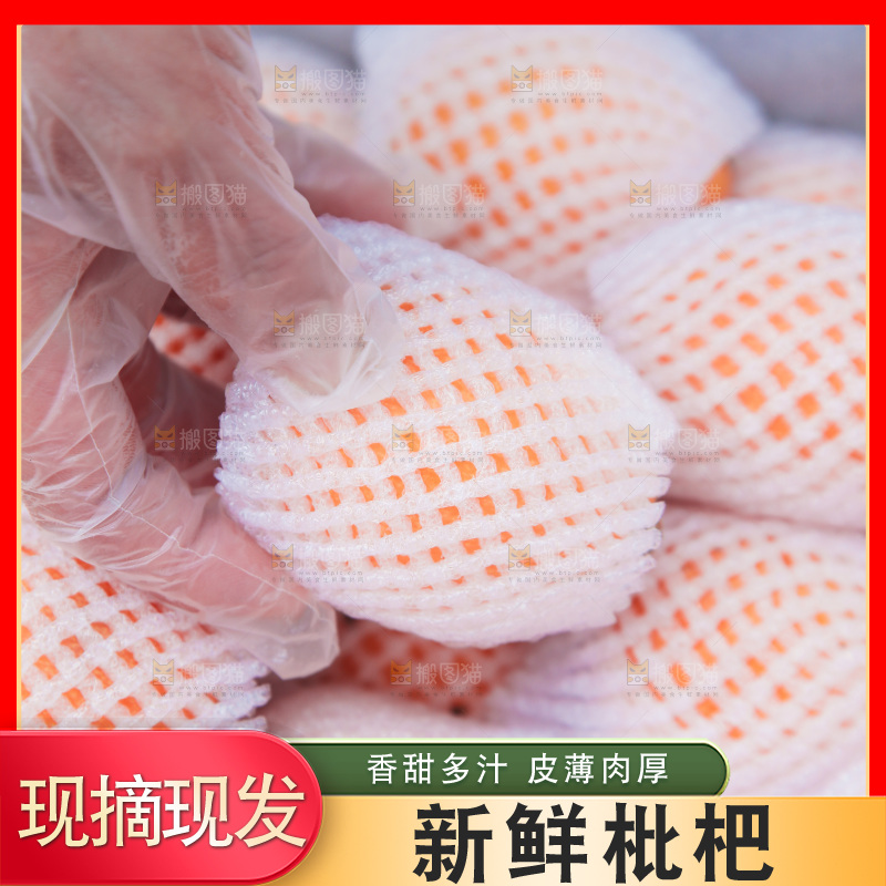 手里拿着米易西枇杷
