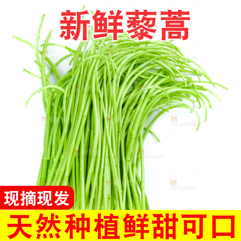 白底上放着藜蒿