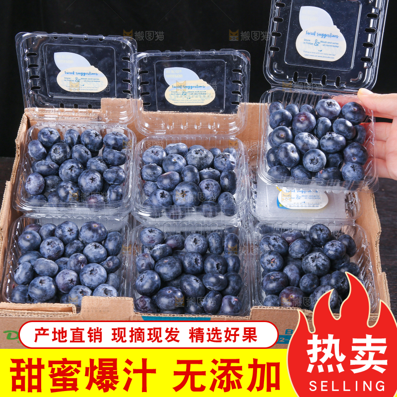 黑底上摆着的新鲜蓝莓