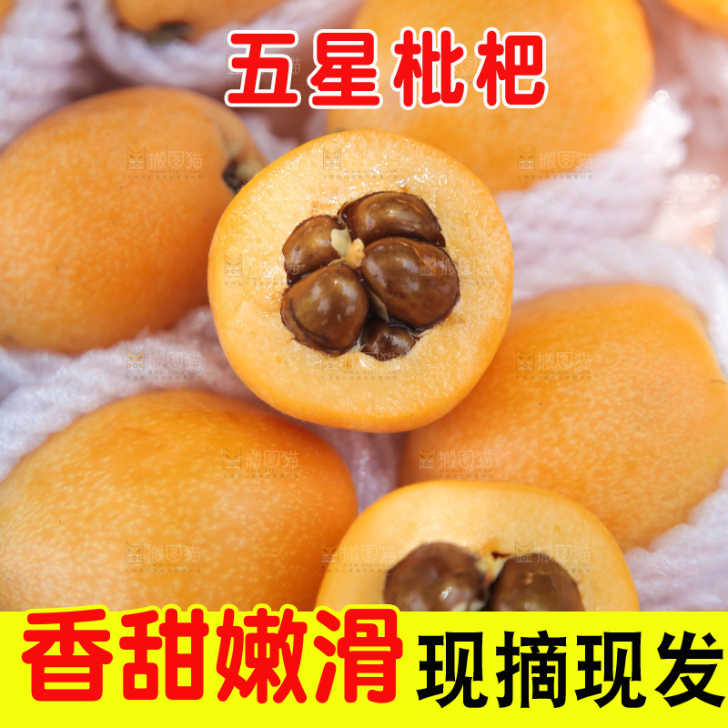 五星枇杷纹理