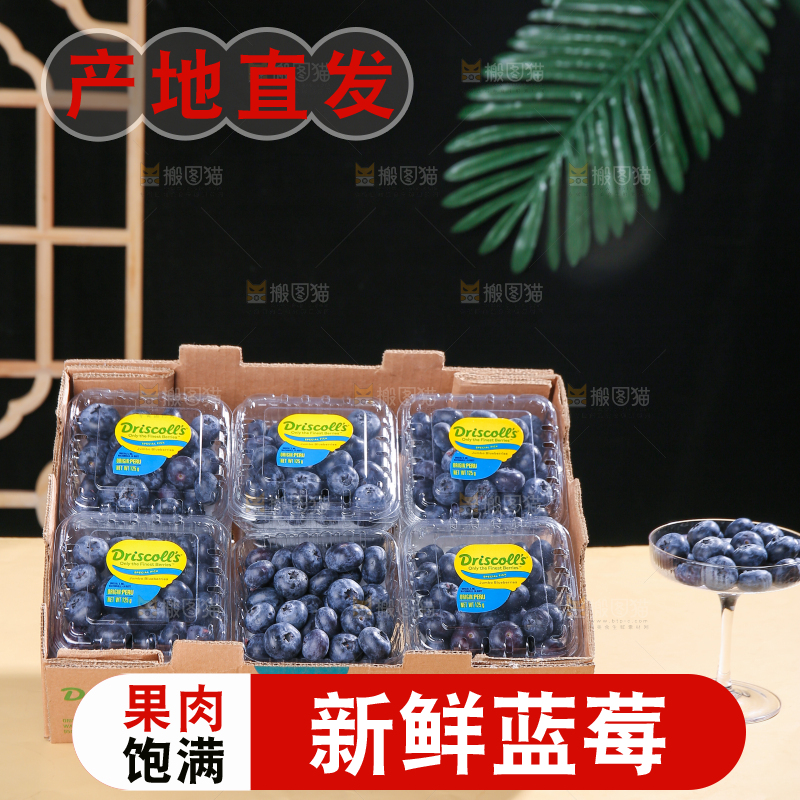 浅底上的新鲜蓝莓