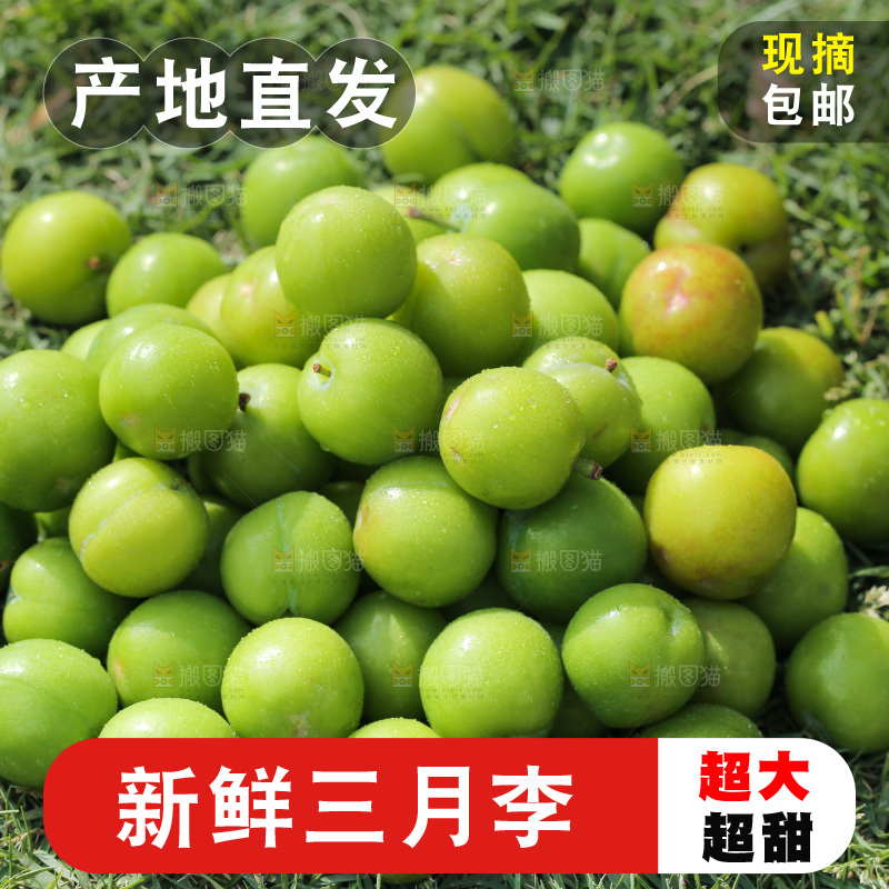 草地上放着一堆三月李