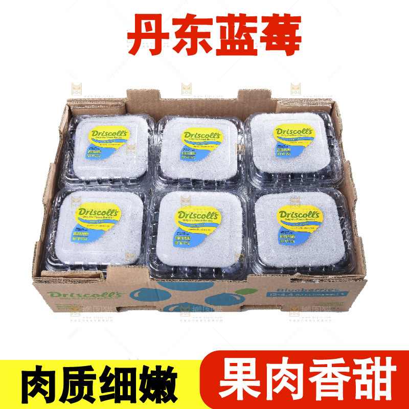白底上放着的新鲜蓝莓