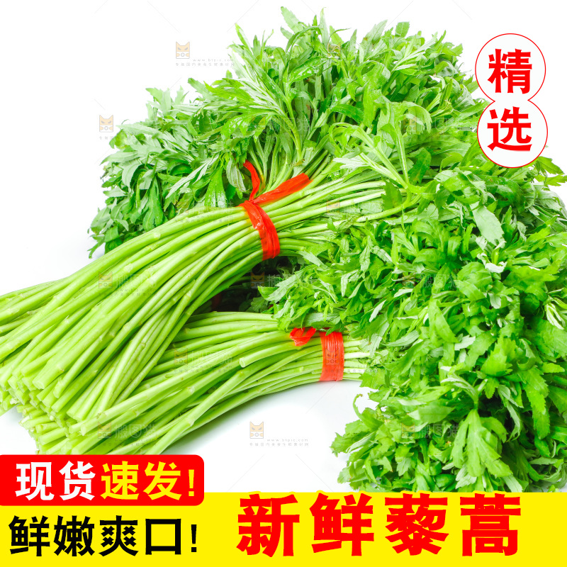白底上放着藜蒿