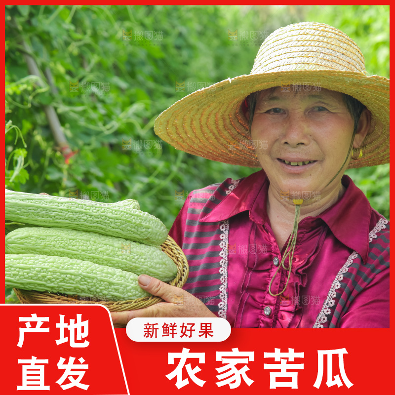 手里拿着新鲜苦瓜