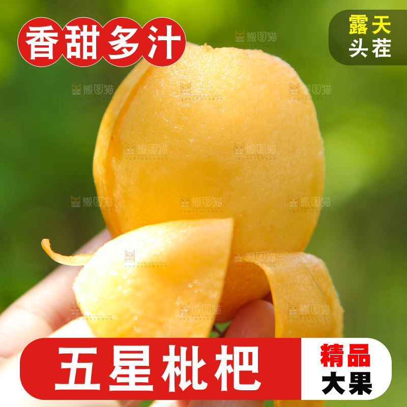 手里拿着米易甜枇杷