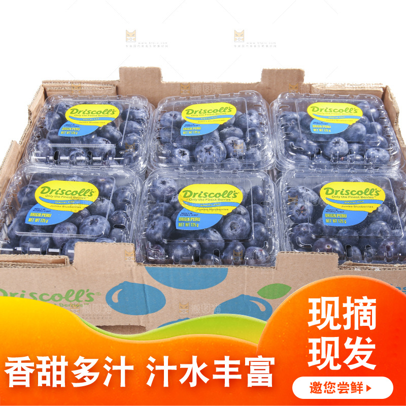 白底上放着的新鲜蓝莓