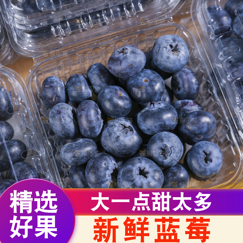 浅底上的新鲜蓝莓