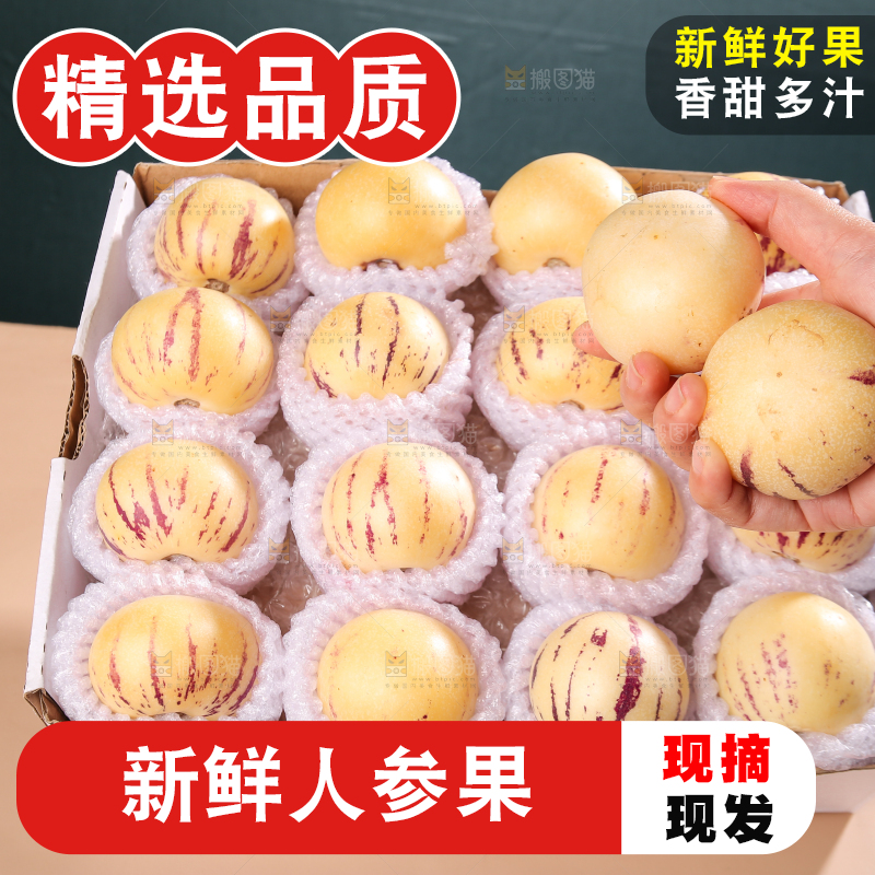礼品盒里的人参果