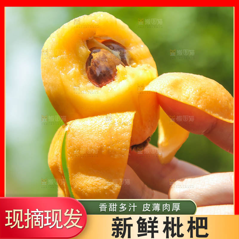 手里拿着大枇杷